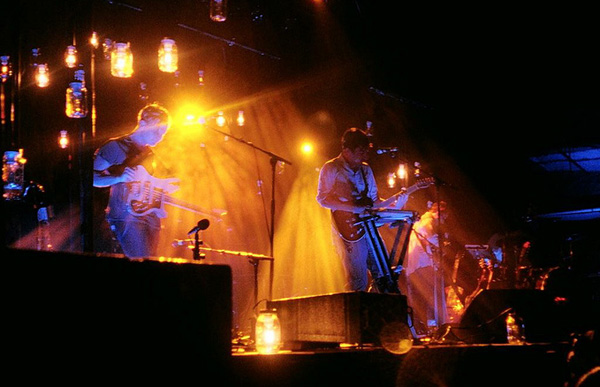 grizzly_bear_firefly